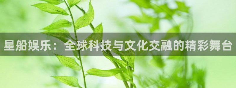 天顺娱乐
