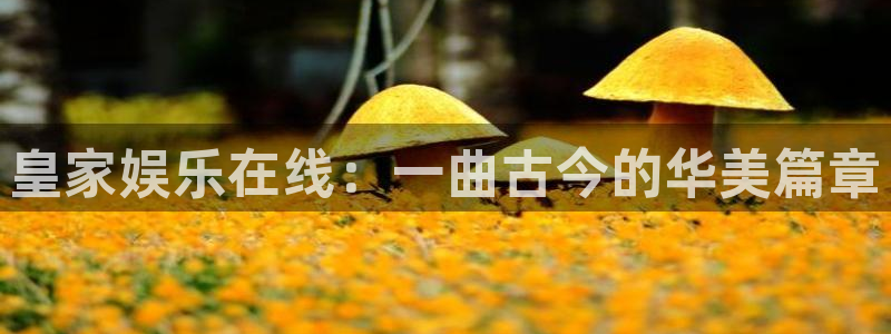 天顺娱乐