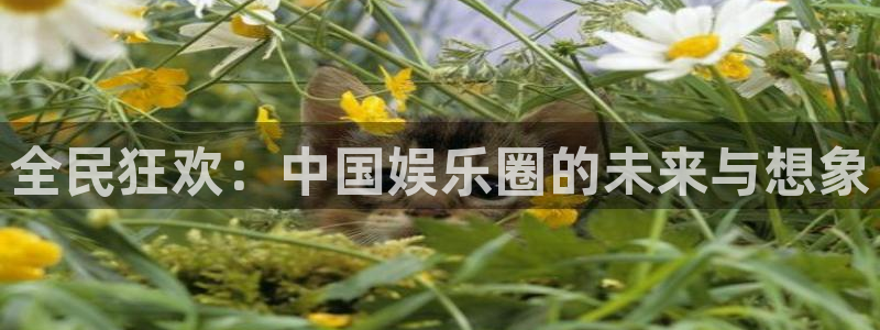 天顺娱乐